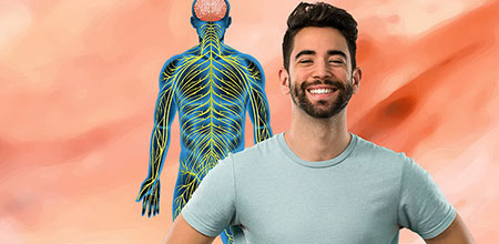 Las grasas de origen vegetal estimulan un buen funcionamiento del sistema nervioso