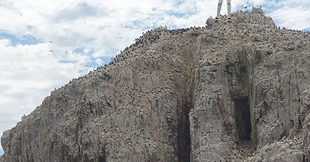 La acrofobia puede causar vértigo, miedo extremo y ansiedad al estar a gran altura