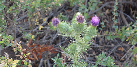 Aprobación del otro configura nuestra autoimagen