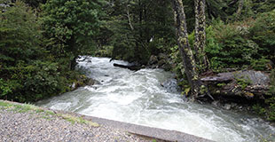 Impacto de la violencia en las dinámicas de género Imagen ilustrando la relación entre los géneros y los efectos de la violencia