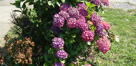 Impacto emocional de una enfermedad o pérdida inesperada La llegada de una enfermedad o la muerte tras un accidente en un ser querido son duelos no normativos