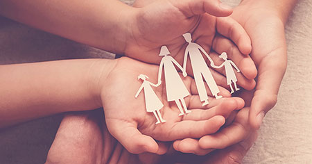 Visualización de diferentes tipos de familia y sus estructuras