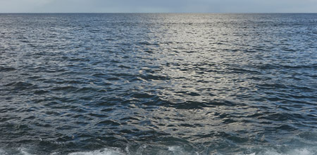 La baja autoestima y la baja asertividad son características de los hombres violentos