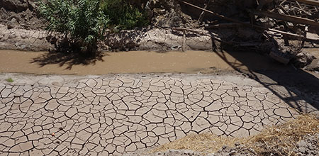Un sujeto puede definir su identidad de género a partir de concepciones que lo identifican