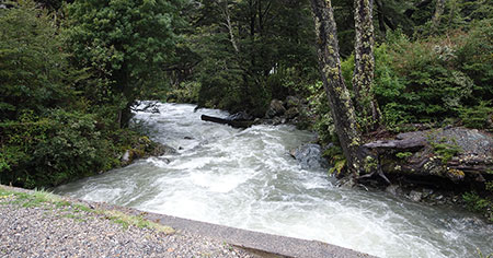 Una ilustración representando la violencia de género y sus consecuencias en la sociedad.