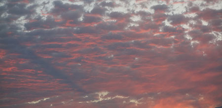 Las demandas sociales dejan en evidencia un daño psíquico en los sujetos