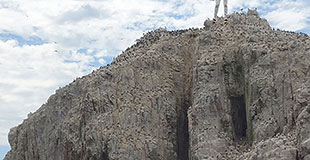 Miedos irracionales comunes que afectan la vida de las personas Los miedos irracionales más comunes, como la acrofobia, afectan el bienestar mental de las personas