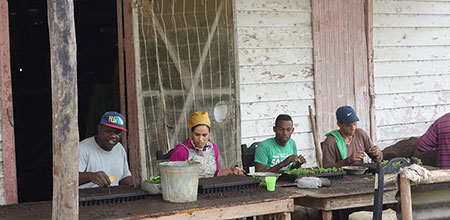 Migración para alcanzar una calidad de vida superior La búsqueda por mejorar una mejor calidad de vida y la migración