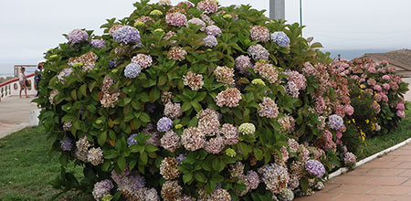 ¿Estás cediendo ante los deseos de tu pareja para evitar conflictos? Podrías estar en una relación tóxica