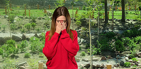 Para sanar tenemos que estar dispuestos a encontrarnos con eso que nos duele