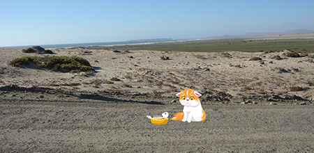 Algunos de los animales que están a su cargo están desnutridos y deshidratados