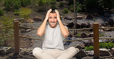 La comunicación sináptica es mediada por los neurotransmisores liberados en las terminaciones nerviosas