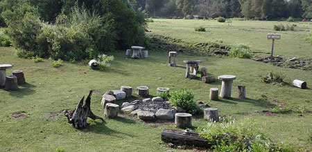 La violencia solamente se dá en algunas familias a diferencia de los conflictos familiares