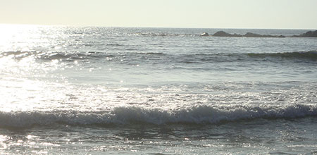 En el peor de los casos, la violencia de género puede llevar a matar a las víctimas